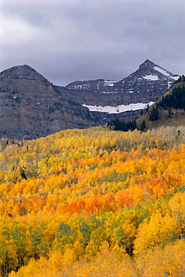 SundanceAutumn.jpg (81261 bytes)